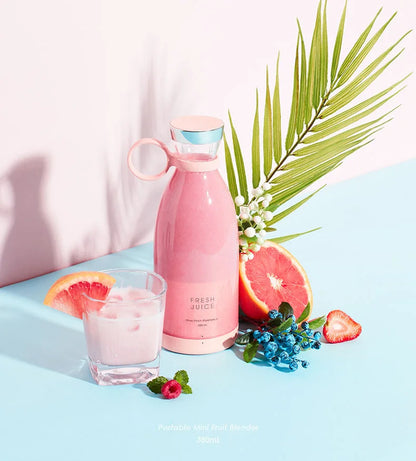 Mini Fruit Mixer