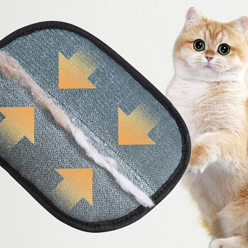 Portable Washable Pet Hair Remover