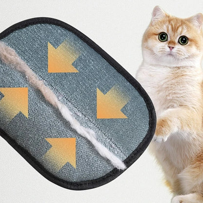 Portable Washable Pet Hair Remover