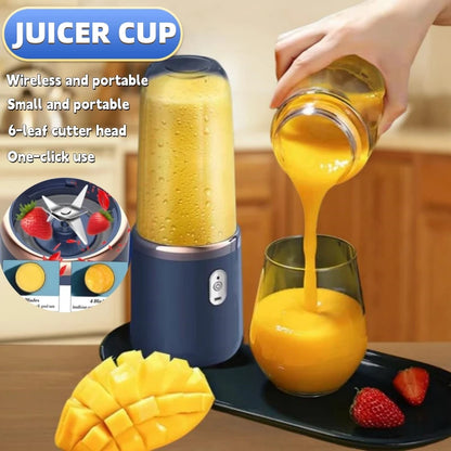 Mini Juice Mixer